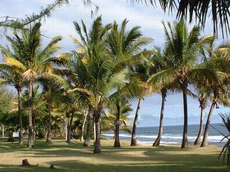 anse